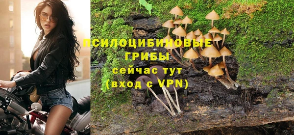 твердый Алзамай